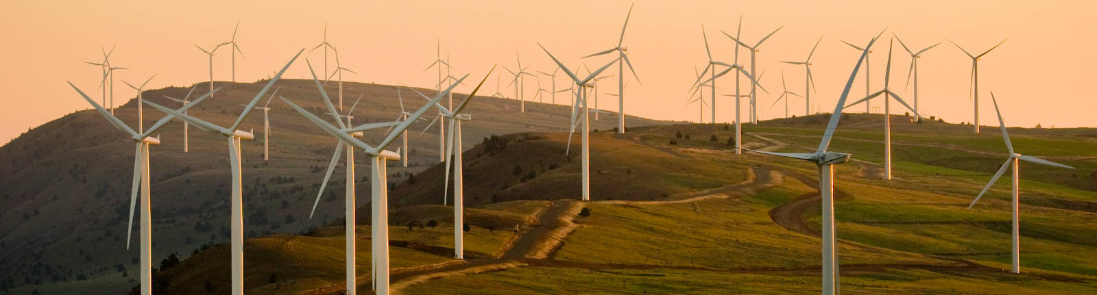american public power association windfarm unsplash